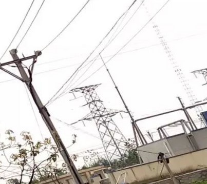 看看這些電力人的春季巡檢！