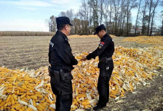 禁燒秸稈走田間、共鑄警魂保藍(lán)天