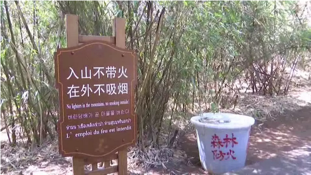 贊！雞足山景區(qū)連續(xù)35年無森林火災(zāi)，因?yàn)樗麄?..